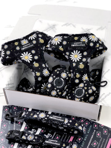 Pawsome Paws Boutique Dog Harness - Bee Kind